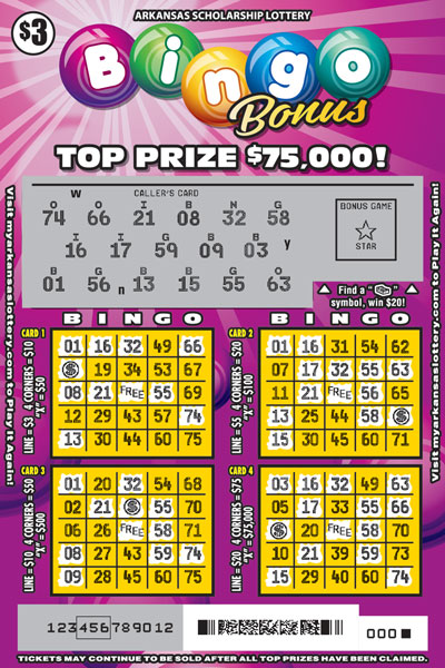 Lucky Bingo Machine