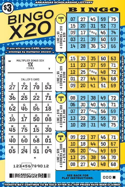 Bingo X20 - Game No. 857 - Uncovered Bingo X20 - Game No. 857